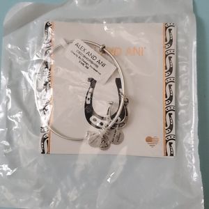 Brand New Alex and Ani Silver Bracelet